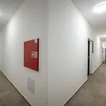 With Garage And Balcony In Center Apartament