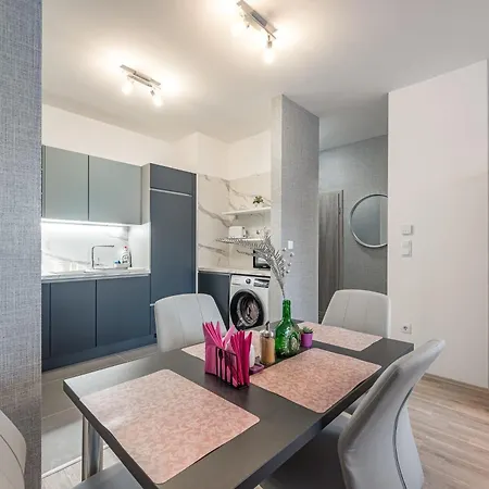 Apartment With Garage And Balcony In Center