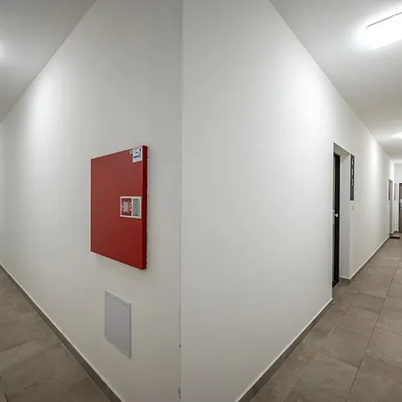 With Garage And Balcony In Center Apartment
